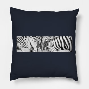 Zebra herd oblong black and white stripe full frame. Pillow