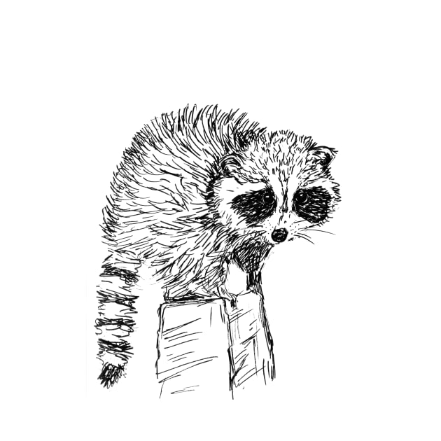 Raccoon Sketch by LauraKatMax