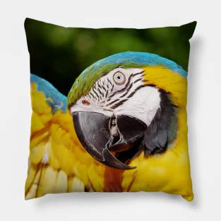 World Parrot day Pillow