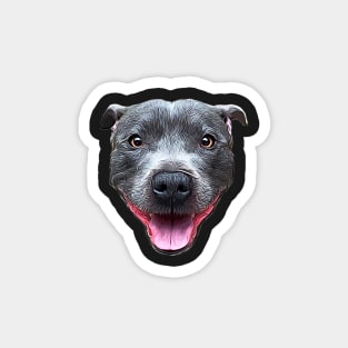 Pit Bull Staffordshire Bull Terrier Blue Staffy Magnet