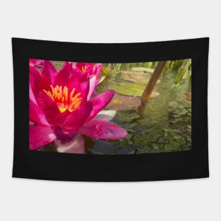 WaterLily Tapestry