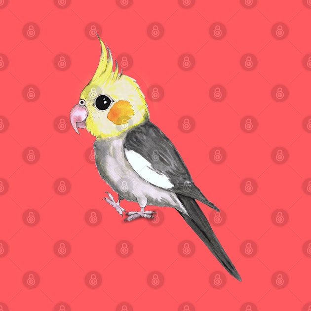 Very cute cockatiel by Bwiselizzy