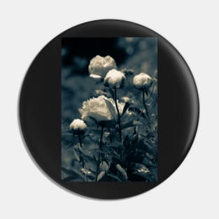 Peonies Pin