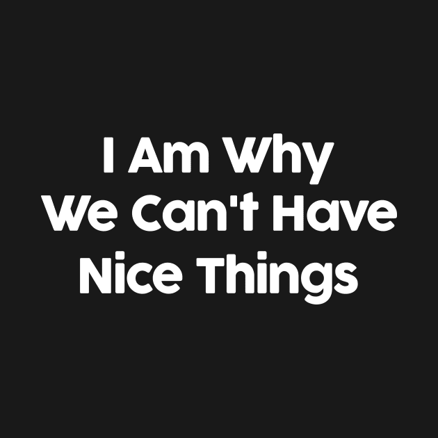 I Am Why We Can't Have Nice Things Funny by solsateez