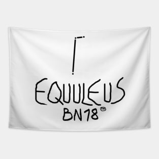 Equuleus Constellation by BN18 Tapestry