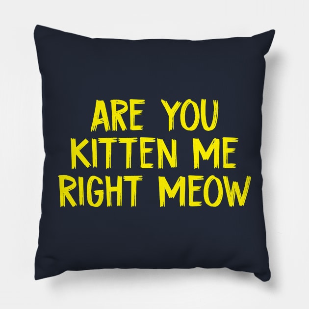 Are You Kitten Me Right Meow Funny Cat Jokes Pillow by TIHONA