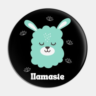 llamaste Pin