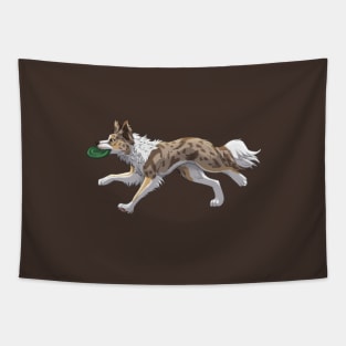 Running Tricolor Brown Lilac Merle Border Collie with Frisbee Tapestry