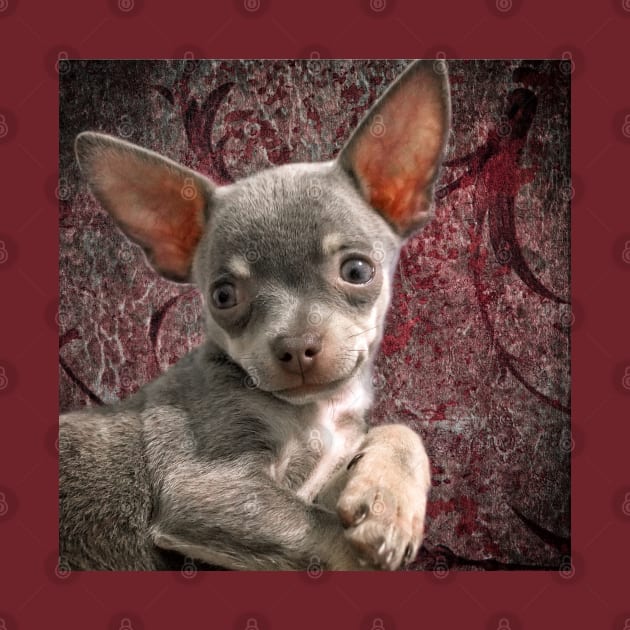 Cheeky Chihuahua Pose Cute Face art by BarbaraGlebska