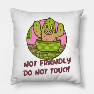 Not Friendly Do Not Touch Pillow