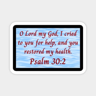 Bible Verse Psalm 30:2 Magnet