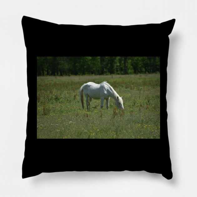 Wild Horse Pillow by MarieDarcy