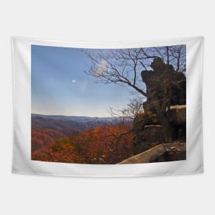 Pinnacle Overlook Tapestry