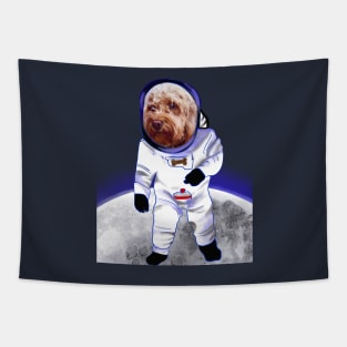 Doggy in Space - cute Cavoodle, Cavapoo, Cavalier King Charles Spaniel Tapestry