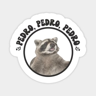 Funny Raccoon Pedro Pedro Dancing Raccoon Funny Meme Magnet