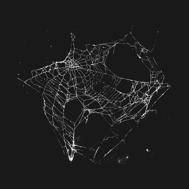 Goth SpiderWeb by zeljkica