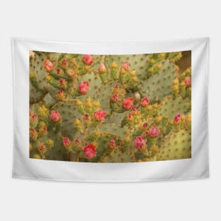 Sonoran Desert Prickly Pear Cactus Blossoms Tapestry