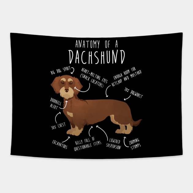 Red Wirehaired Dachshund Dog Anatomy Tapestry by Psitta