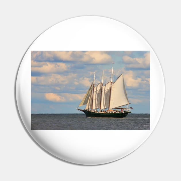 Alliance sets sail Pin by tgass