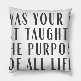 The Purpose Pillow