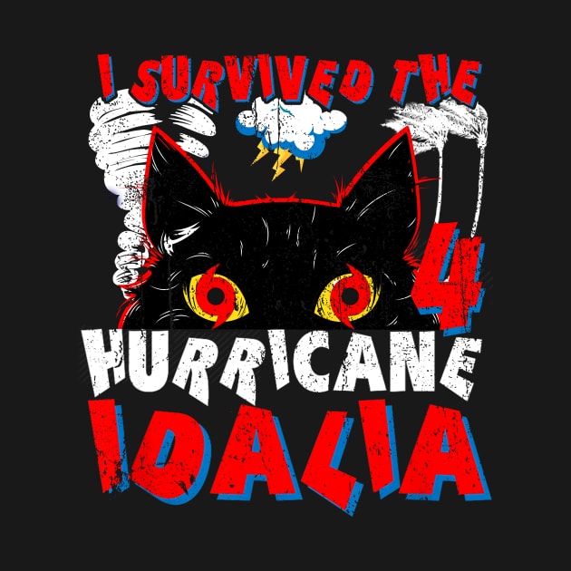 I survived the CAT 4 Hurricane Idalia by kyoiwatcher223