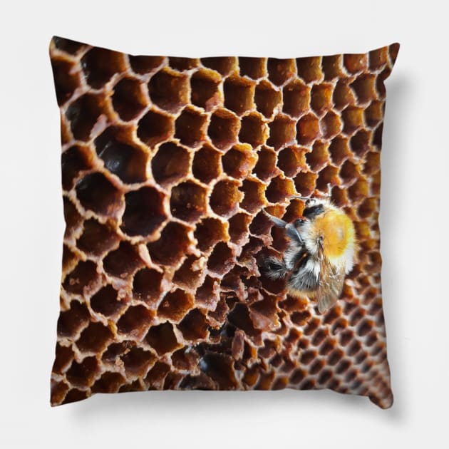 bumblebee Pillow by SBdesisketch
