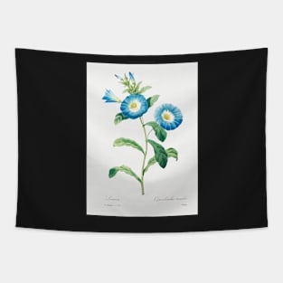 Bindweed Flower- Botanical Illustration Tapestry