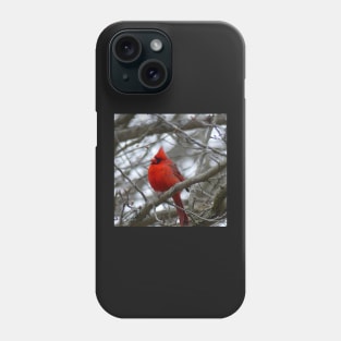 Winter Cardinal Photography Art Beautiful Heaven Sent Messenger Male Red Cardinal Phone Case