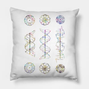 A-,B-, and Z-DNA Pillow