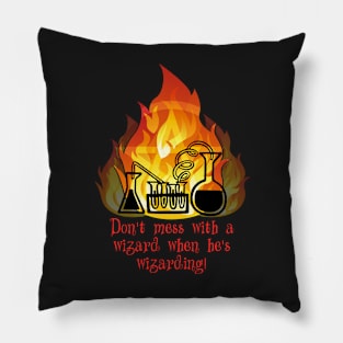 Don't mess with a wizard ... Pillow