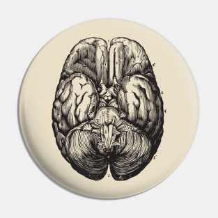 Brain anatomy 2 Pin