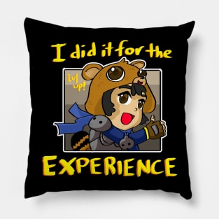 I did it for the EXPERIENCE Pillow