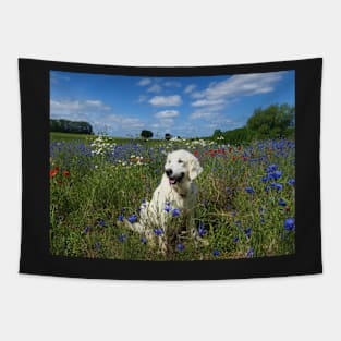 Ditte in a field of wild flowers Tapestry