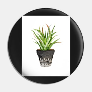 Plant pot succulent cacti watercolor Pin