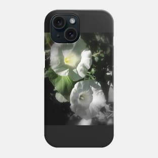 morning glory 2 Phone Case