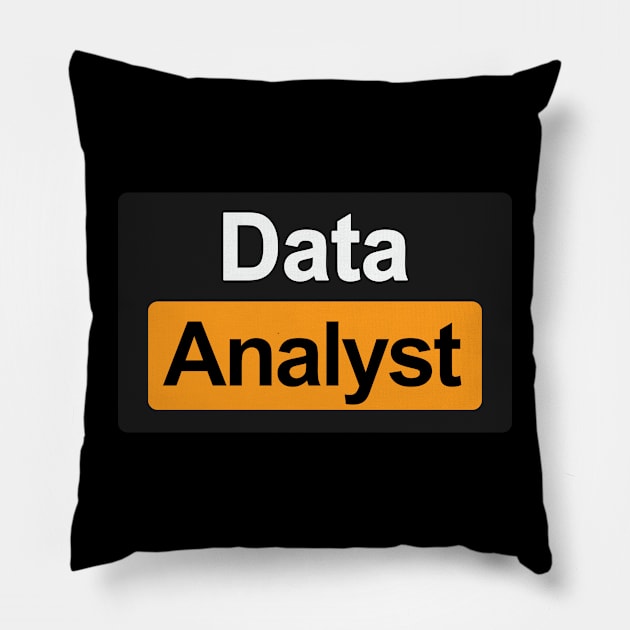 Data Analyst Pillow by orlumbustheseller