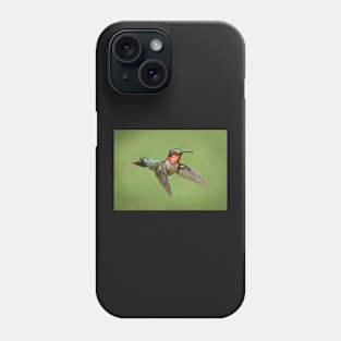 Ruby Throated Hummingbird Male Phone Case