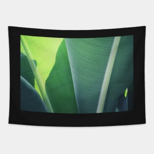 Plantain #1 Tapestry