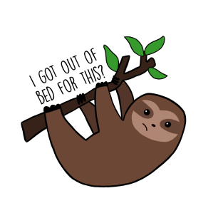 Sloth, I got out of bed for this? T-Shirt