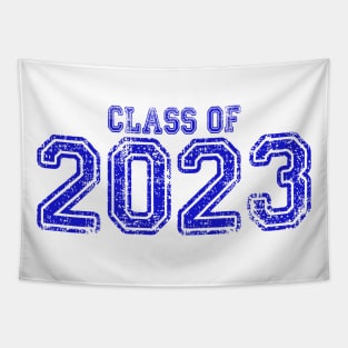 Varsity Blue Class of 2023 Tapestry