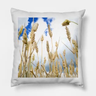 Wheat Pillow