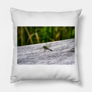 Dragonfly Pose Pillow