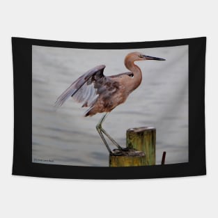 Egret Egress Tapestry