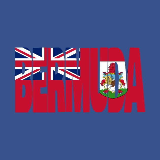 Bermuda flag stencil by Kuni Art