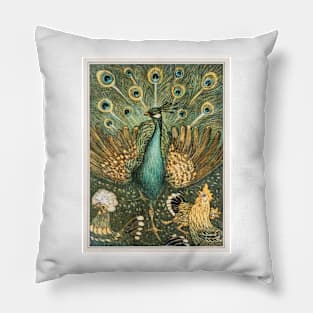 Peacock Pillow