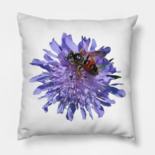 Widow Flower Scabious and a Bee Pillow