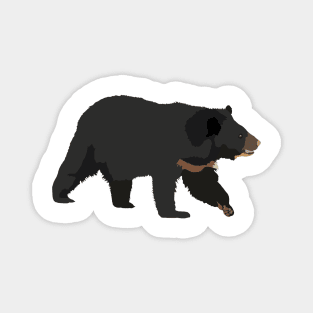 Asian Black Bear Magnet