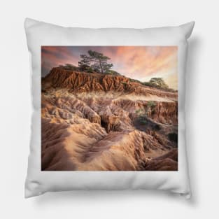 Torrey Pines State Reserve Pillow