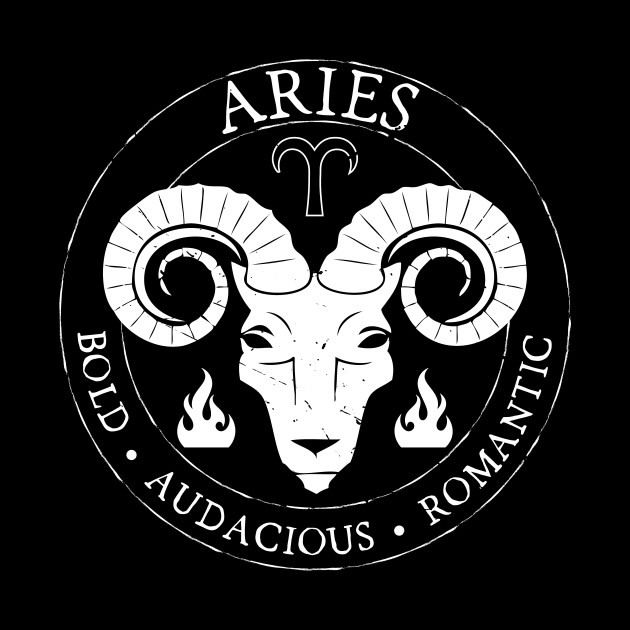 Aries Zodiac Birthday Star Sign Zodiac Gift Aries Horoscope Pillow