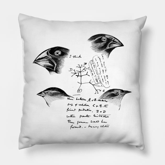 Darwin’s Finches Pillow by hereticwear